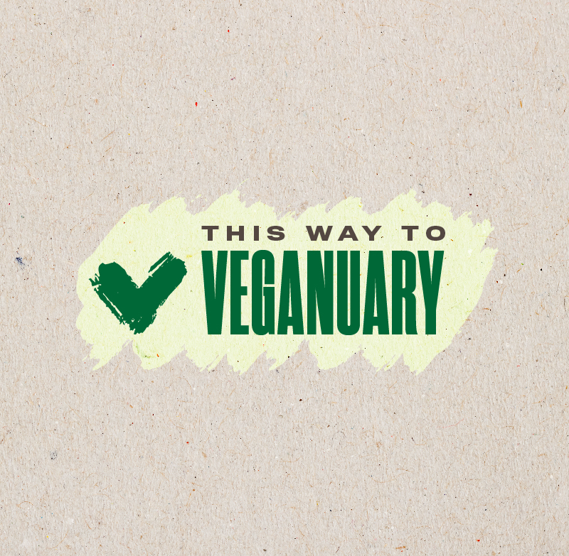 Food For Thought Veganuary St Johns Shopping Centre